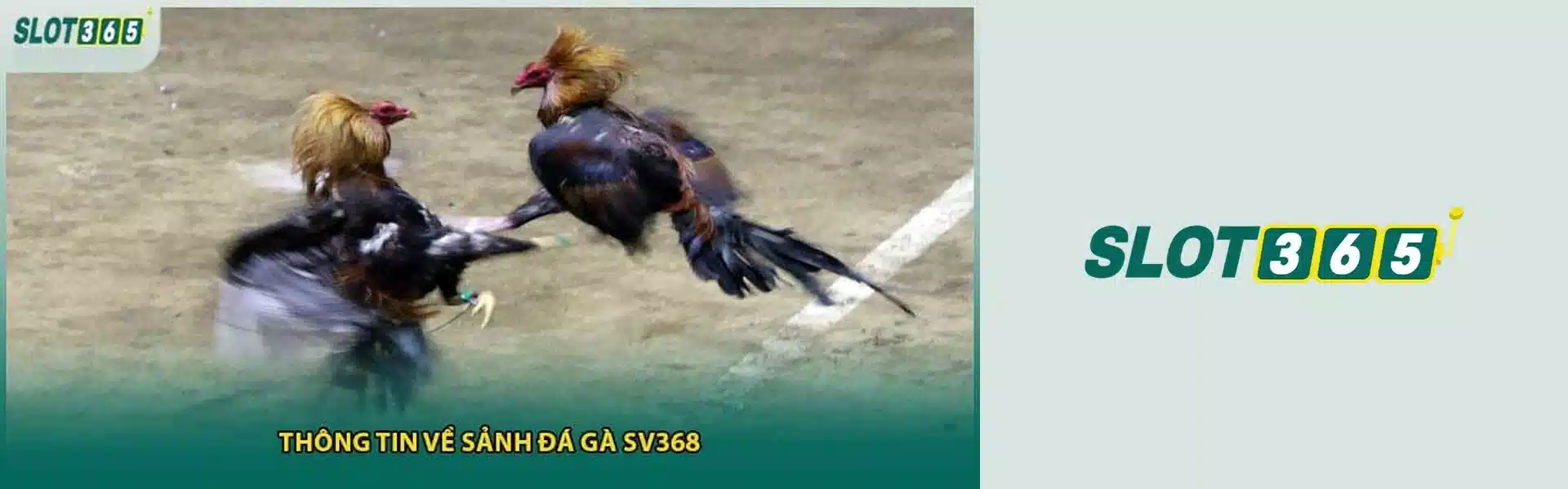 888SLOT